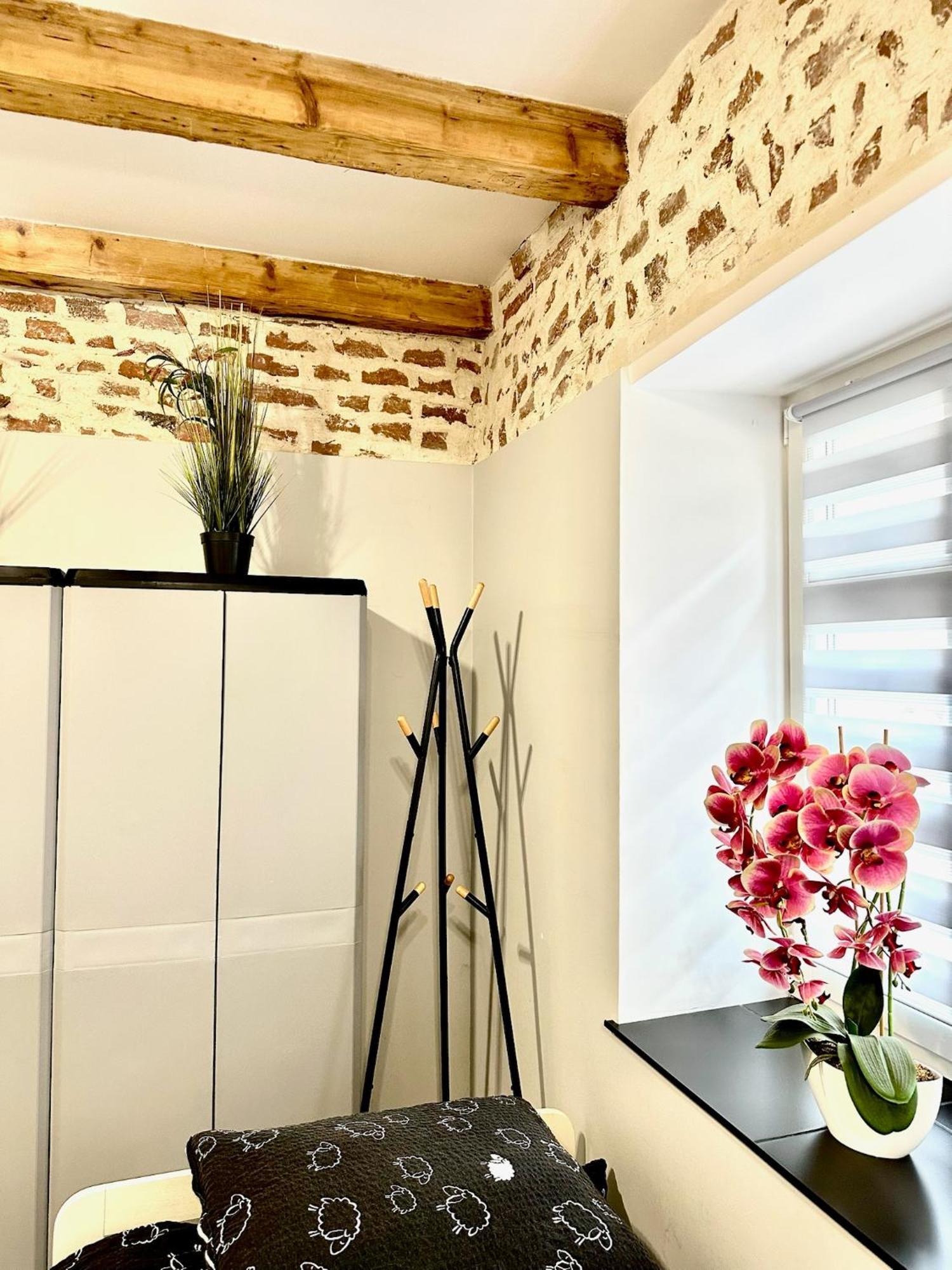 Apartament Marianowka Legnica Zewnętrze zdjęcie